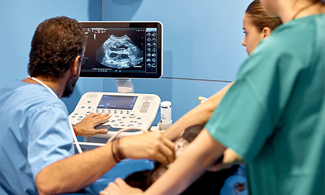 Diagnostic medical sonographer views ultrasound on a monitor while working with patient