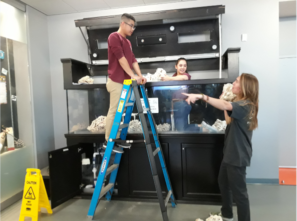 Students building the future reef tank