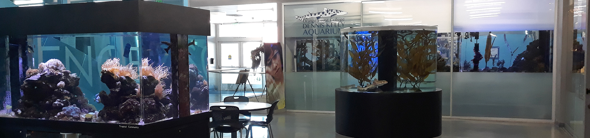 Lobby area of the OCC Aquarium