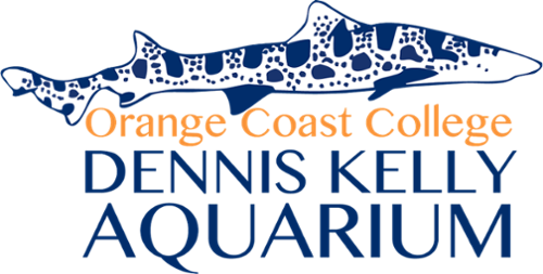 Orange Coast College Dennis Kelly aquarium logo with leopard shark drawing