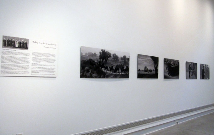 A close up view of 6 photos in the gallery