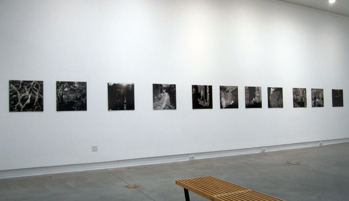 A diagonal view of photos on a white wall of the gallery