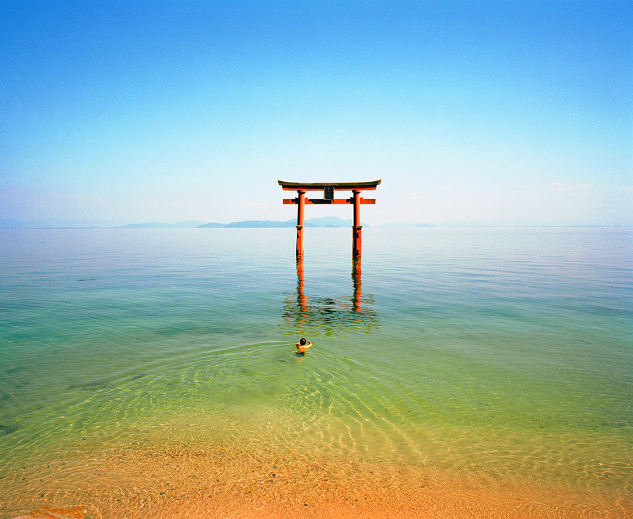 Brochure cover of person swimming in water towards a torii