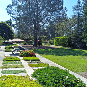 The garden behind Horticulture Building