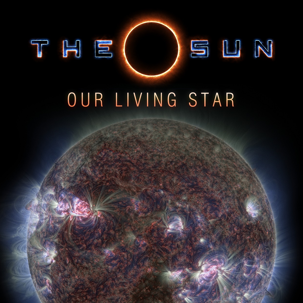 The Sun Our living star